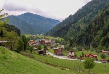 تميّز بطبيعته الخضراء وهوائه المنعش